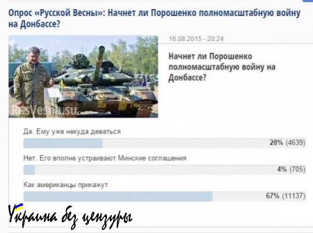 Итоги опроса «Русской Весны» — начнет ли Порошенко войну на Донбассе?