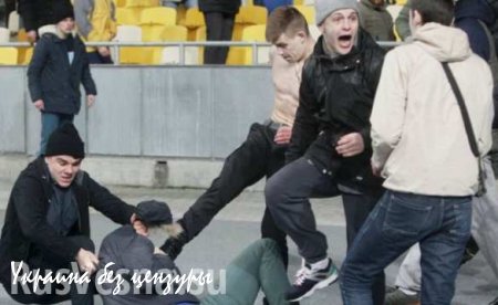 Фанаты киевского «Динамо» избили болельщиков польской «Легии» (ВИДЕО)