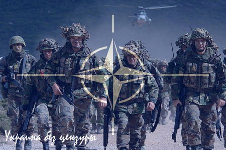 НАТО предостерег ополченцев от захвата подконтрольных Украине территорий Донбасса