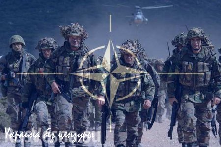 НАТО пугает Донецк возможным вмешательством в конфликт на Донбассе, — немецкие СМИ 