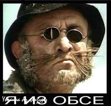 ОБСЕ: незаменимые незамечающие, с обостренным чувством самосохранения