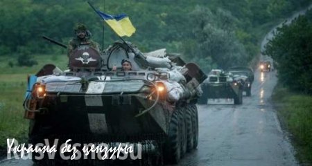 Коэн назвал три причины возможного наступления Киева на Донбасс