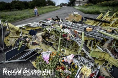 Генерал-майор Руцкой: MH17 мог сбить другой самолет