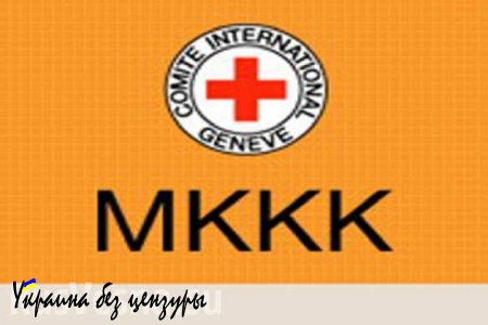 Избирательное милосердие: Красный Крест отказывается освидетельствовать следы пыток на гражданах ДНР, несмотря на их явное наличие