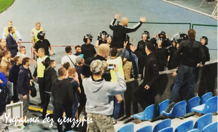 Поляки в центре Киева скандировали «Бей бандеровцев» и жгли украинские флаги