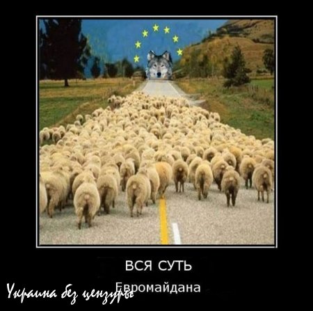 Нет у нас никаких братских народов во время войны. Петр Порошенко