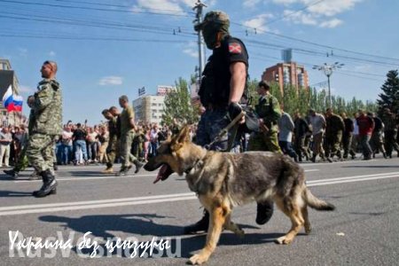 ДНР не берет в плен гражданских лиц в отличие от Украины