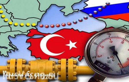 Stratfor: ЕС не заблокирует "Турецкий поток" даже ради Украины