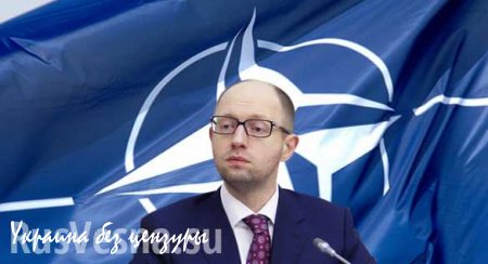 На Украине скоро откроется представительство НАТО