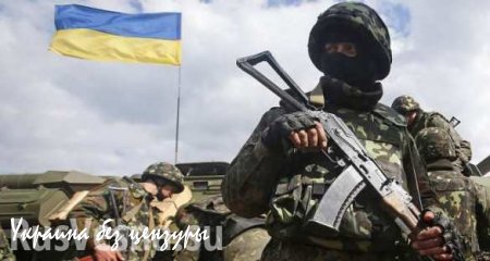 Военный эксперт: У ВСУ нет никаких шансов против армии ДНР