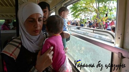 Македония вновь открыла для беженецев границу с Грецией