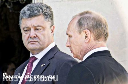Немецкие СМИ сообщили о грядущей встрече Путина и Порошенко