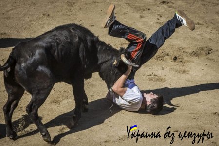 В Испании - десятый погибший в результате забега быков