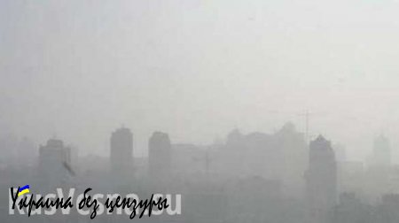 Киев затянуло едким дымом (ФОТО)