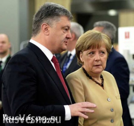 Коэн: Политика Порошенко приводит в отчаянье Меркель и Олланда