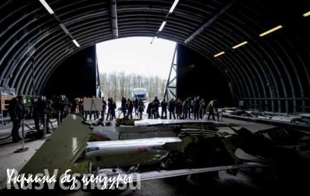 Голландия озвучила дату публикации доклада по крушению Боинга MH17