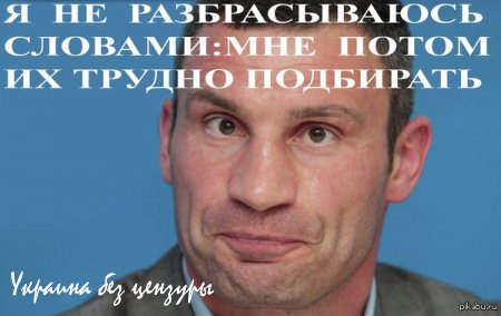 Блок Вальцмана метит в Европейскую народную партию, представленную в Совете Европы.