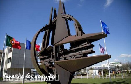 Das Erste: В НАТО «откупились» от Грузии учебным центром