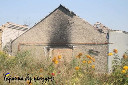 Новосветловка, год после освобождения. Фоторепортаж «Русской Весны»