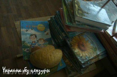 Новосветловка, год после освобождения. Фоторепортаж «Русской Весны»
