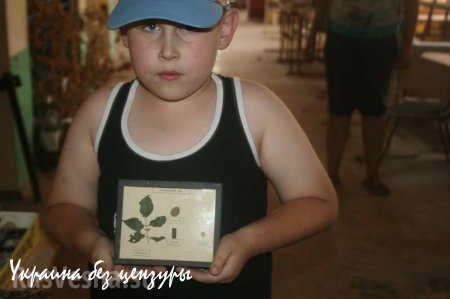 Новосветловка, год после освобождения. Фоторепортаж «Русской Весны»