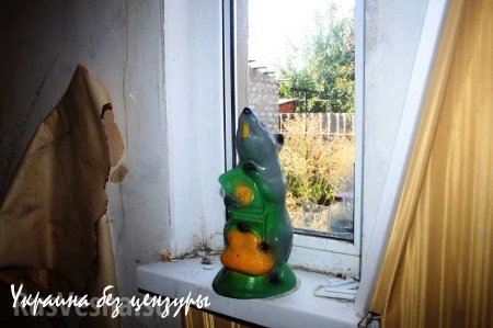 Новосветловка, год после освобождения. Фоторепортаж «Русской Весны»