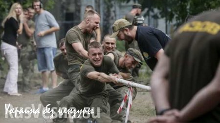 Немецкие СМИ: Киевская газета похвалилась лагерями «гитлерюгенда» на Украине