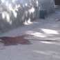 Силовики перекрыли улицы в столице Таджикистана (ФОТО+ВИДЕО)