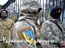 Киев пытаеися свалить все преступления в Донбассе на нацбатальоны