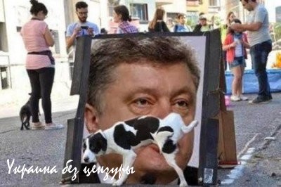 Петька-кефир. Рейтинг доверия Порошенко упал до 3% Петька-кефир. Рейтинг доверия Порошенко упал до 3%