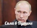 "Мастерский маневр Путина в Сирии и баран Обама",- пресса США - новости от novorus.info/