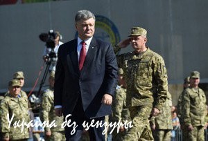 План Порошенко – победа Донбасса? План Порошенко – победа Донбасса?