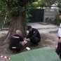 «Зверское преступление»: нападение на подстанцию скорой помощи в Симферополе (ФОТО)