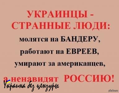 "Крымским опытом России скоро воспользуется Польша и Венгрия", - Трезвый голос из Киева - новости от novorus.info/ "Крымским опытом России скоро воспользуется Польша и Венгрия", - Трезвый голос из Киева - новости от novorus.info/