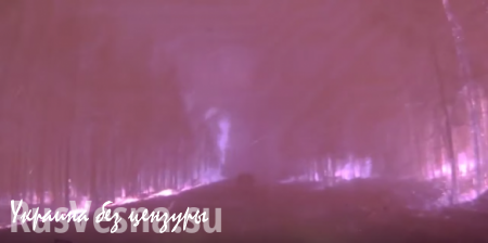 Поездка через ад и тьма над Байкалом: в сети публикуют страшные кадры лесных пожаров (ВИДЕО)