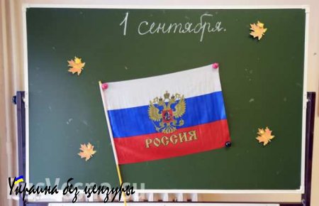 Новый учебный год: уровень образования в России повысится