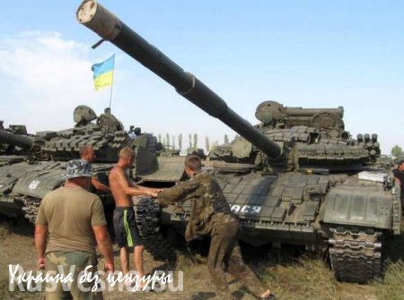 На Донбассе за минувшие сутки нет погибших и раненых украинских военных, ополченцы огонь не открывали, — спикер «АТО»