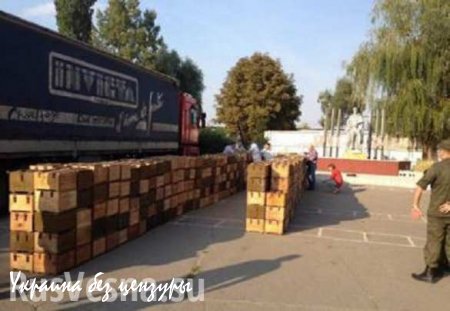 В Павлограде сотрудники СБУ задержали два грузовика с боеприпасами