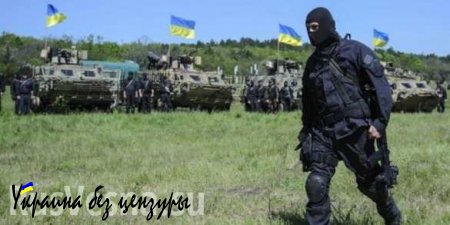 После обстрела украинскими танками позиций ВСУ ополченцы ЛНР попросили ОБСЕ отреагировать на провокации (ВИДЕО)