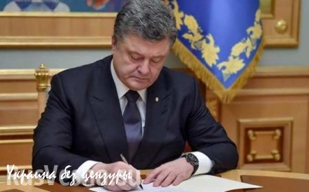 Командование ВСУ не выполняет Указы Порошенко и не демобилизует военных, — солдатские матери