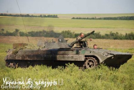 1-я Славянская бригада ведет разведку на линии фронта (ФОТОЛЕНТА)