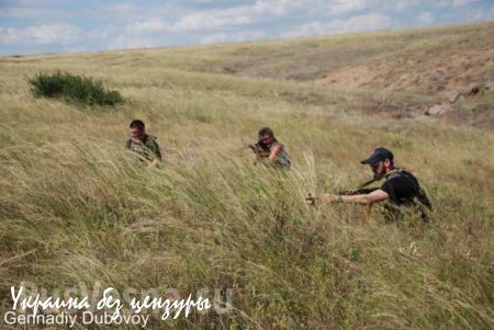 1-я Славянская бригада ведет разведку на линии фронта (ФОТОЛЕНТА)