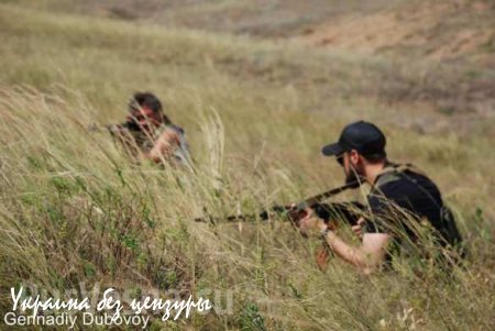 1-я Славянская бригада ведет разведку на линии фронта (ФОТОЛЕНТА)