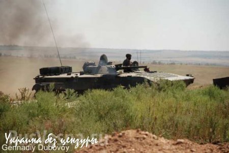 1-я Славянская бригада ведет разведку на линии фронта (ФОТОЛЕНТА)