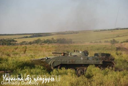 1-я Славянская бригада ведет разведку на линии фронта (ФОТОЛЕНТА)