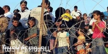 Миграционный кошмар Европы: тысячи голодных беженцев прорвались в столицу Греции