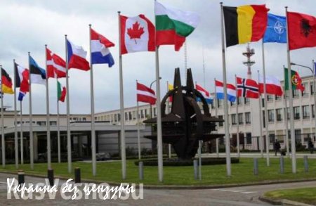 НАТО открывает шесть штабов в странах Восточной Европы
