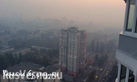Киев в дыму лесных пожаров (ФОТО)