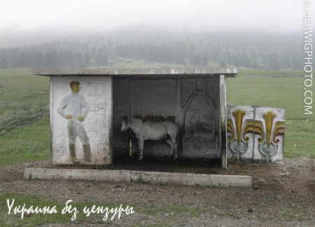 Американские СМИ: Советские автобусные остановки рушат западные клише об СССР