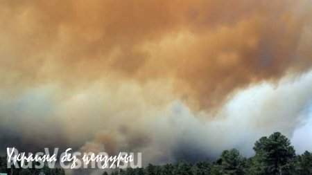 Дым от пожаров накрыл уже пять областей Украины